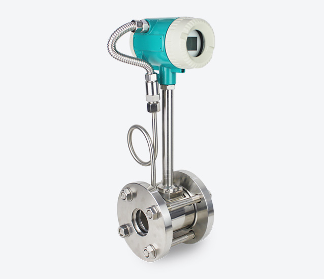 Steam-Vortex-Flowmeter-10