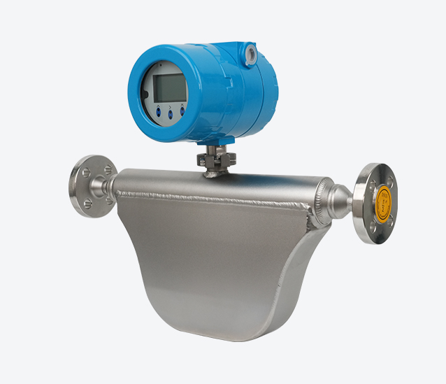 Mass flowmeter 6